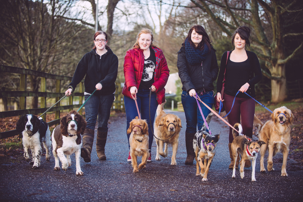 Dogs in Devon Preened to Perfection with New Grooming Facilities The